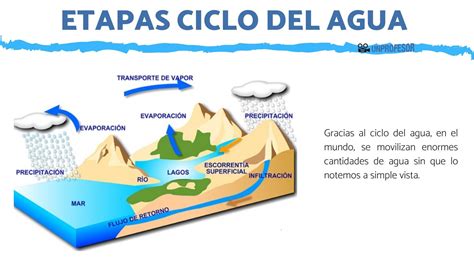etapas del ciclo del agua-4